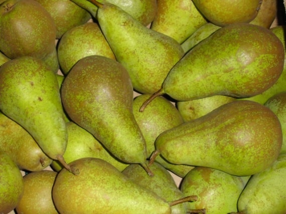 many pears