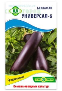 Universal 6 patlıcan çeşidinin tanımı, yetiştirme ve bakım özellikleri