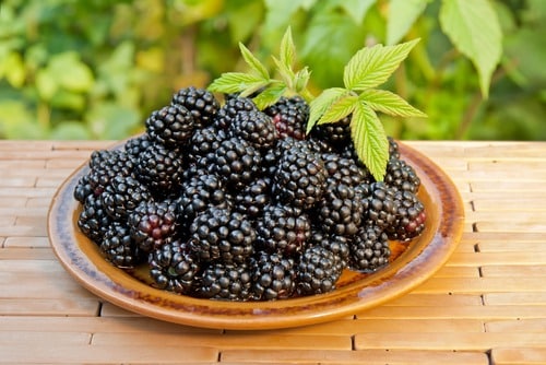 mga blackberry sa isang plato