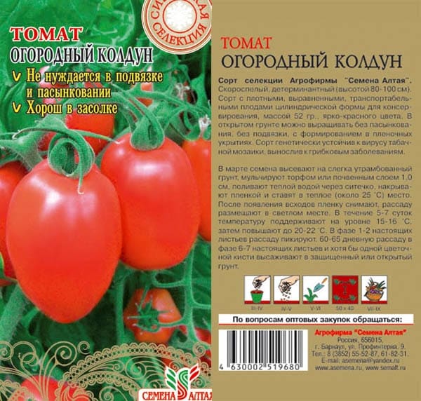 Sorcier du jardin de tomates