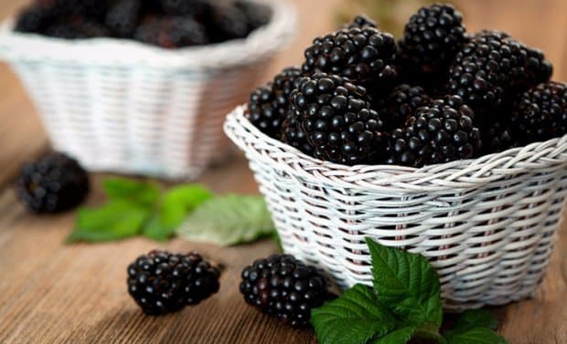 blackberries in the basket