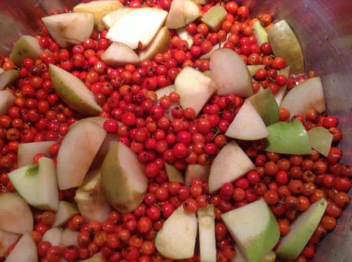 Lingonberry syltetøj med æbler
