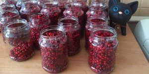Recepti za izradu namočenih lingonberry za zimu kod kuće