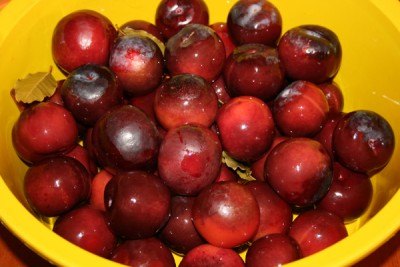 mga plum sa isang mangkok