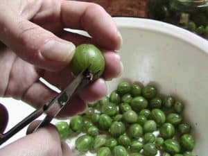 Come congelare correttamente l'uva spina per l'inverno nel frigorifero di casa ed è possibile