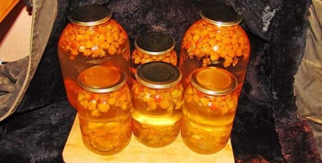 Compote ng Cloudberry
