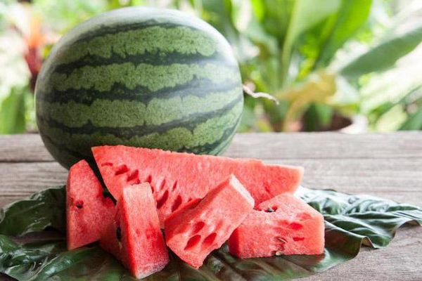 Wassermelonenpulpe