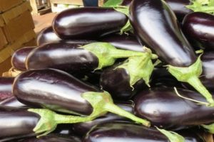 Description de la variété d'aubergine Almaz, caractéristiques de culture et d'entretien