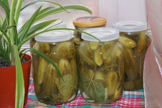clouding cucumbers in jars