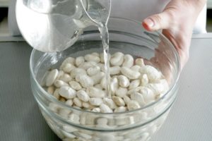 Description of varieties of white beans, useful and harmful properties, cultivation