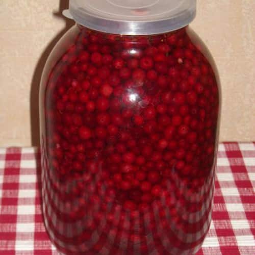 lingonberry en un flascó