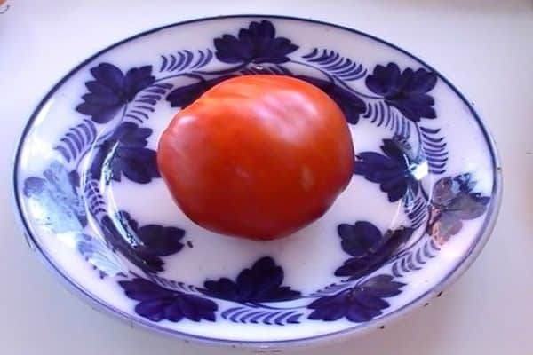 ντομάτα σε ένα πιάτο