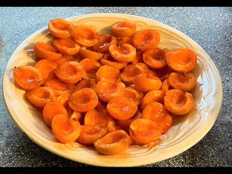 apricot wedges