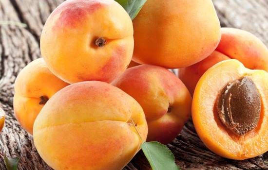 large apricots