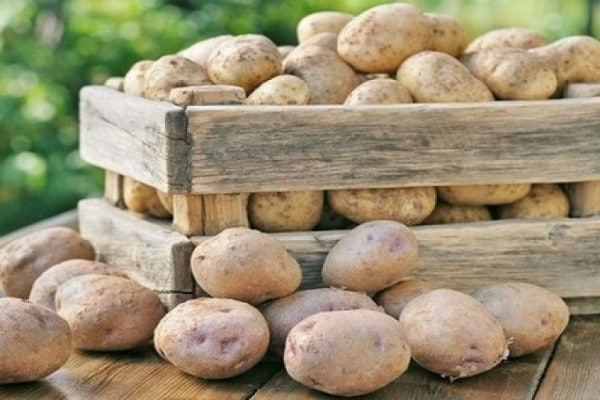 skladujte zemiaky