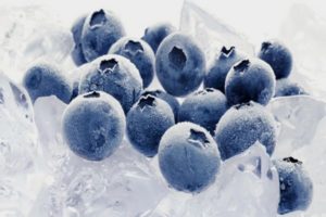 Hogyan lehet fagyasztani a fekete áfonya télen otthon a hűtőszekrényben