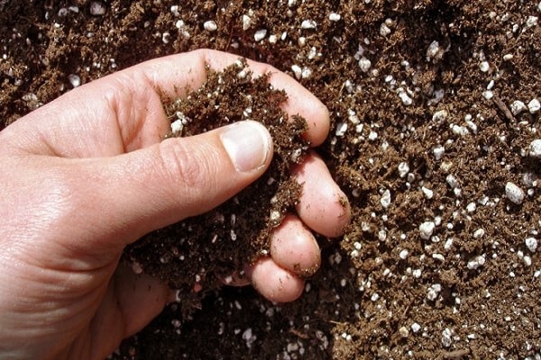 składniki mieszanek glebowych
