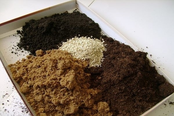 soil microflora
