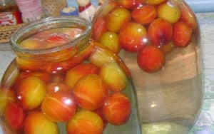 Delicious recipes for cherry plum compote with and without seeds for the winter, with and without sterilization