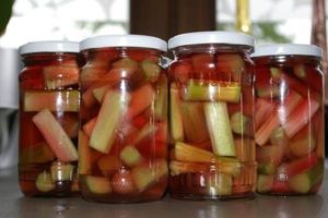 A simple recipe for making rhubarb compote for the winter