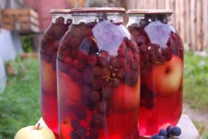 A simple recipe for apple and grape compote for the winter