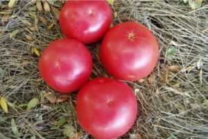 Kenmerken en beschrijving van het tomatenras Raspberry ringing, de opbrengst