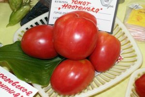 Egenskaber og beskrivelse af tomatsorten Nastenka, dens udbytte
