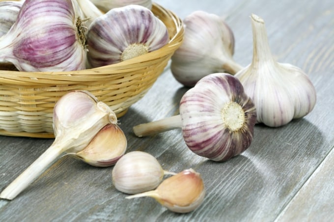 Degtyarsky garlic