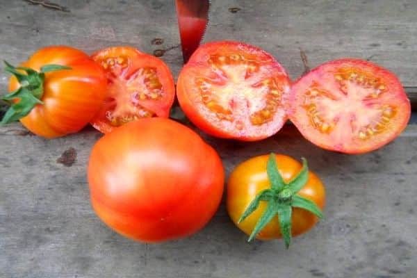 leikkaa tomaatit