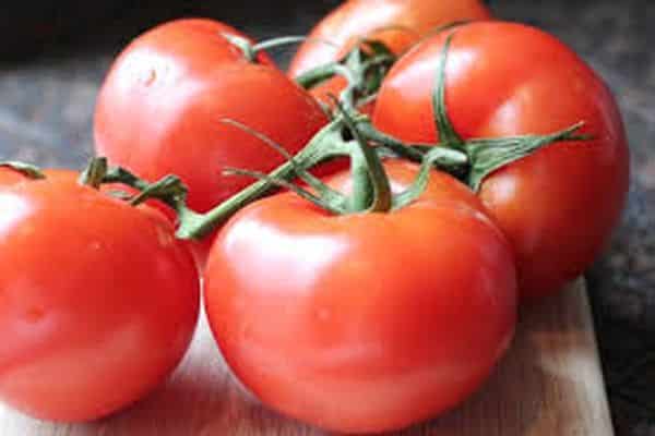 rama de tomate