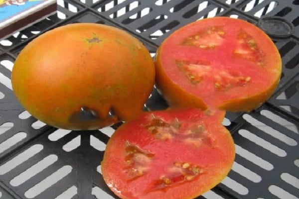 Novoročné paradajka