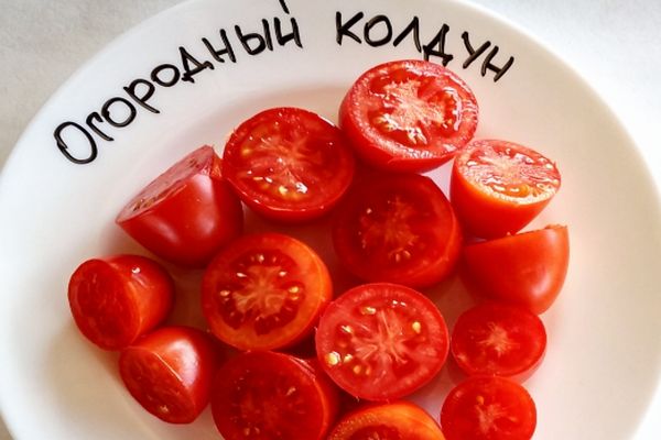 Czarownik Ogrodu Pomidorów