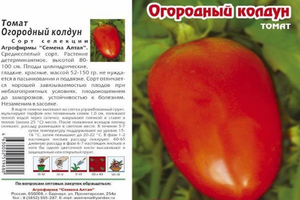 Czarownik Ogrodu Pomidorów