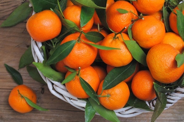 Mandarinen für den Winter