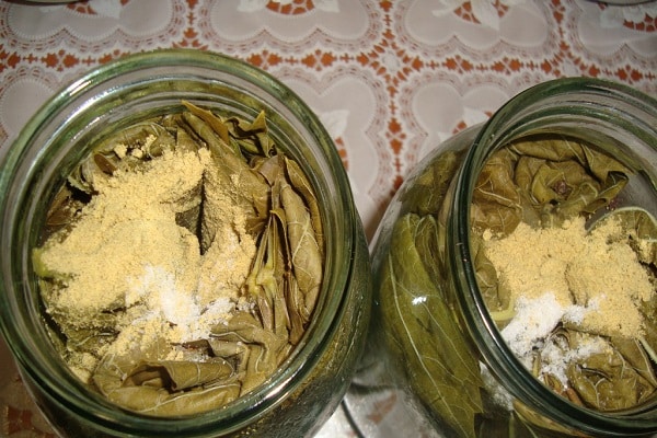 Salting in jars