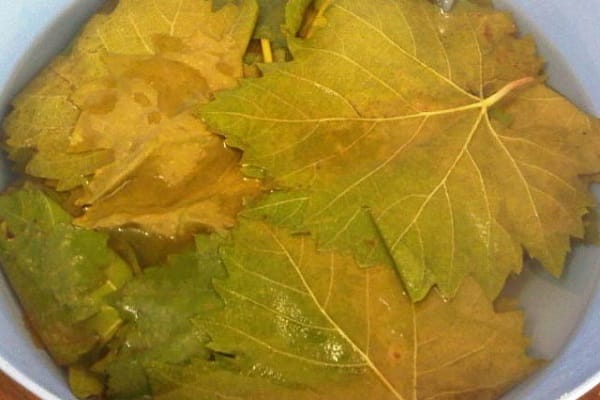 Recetas para encurtir hojas de parra para el invierno.