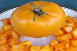 Descrizione della varietà di pomodoro Belyash dorato e delle sue caratteristiche