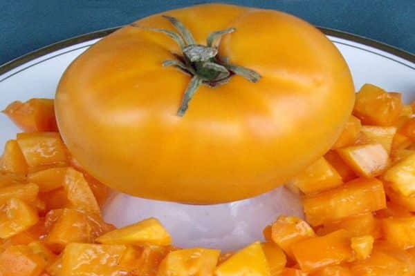 pozłacany pomidor belyash
