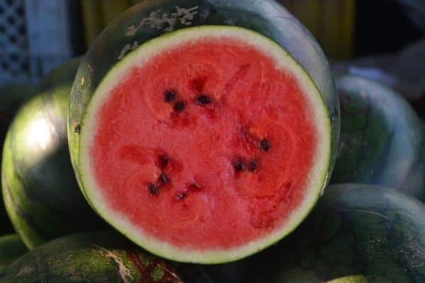 watermelon Spark inside