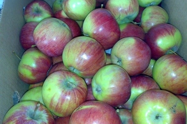 „Rossosh“ dryžuoti obuoliai dėžutėje
