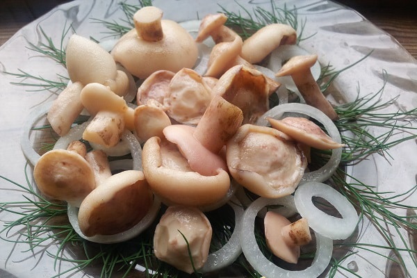 salted mushrooms with onions and herbs
