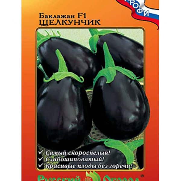 Nutcracker eggplant