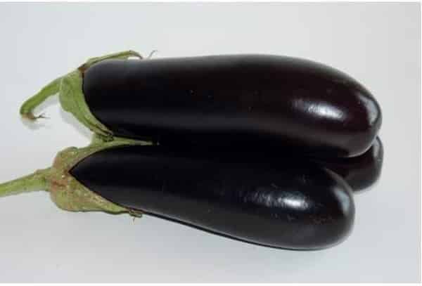 destan eggplants