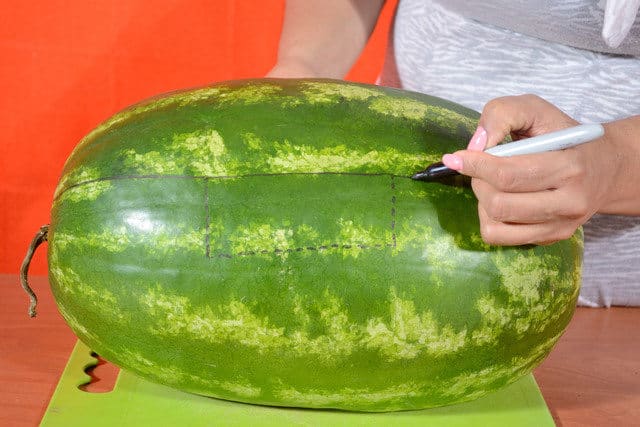 radosť z vodného melónu