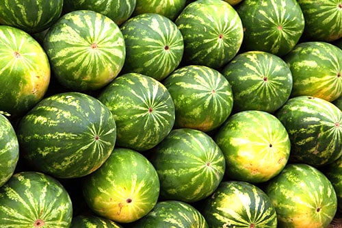 a lot of watermelons