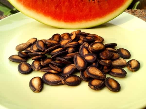 seeds of watermelon