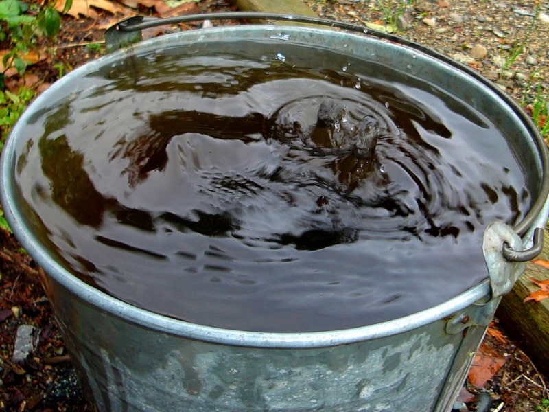 water in a bucket