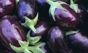 Anong mga uri ng mga eggplants ang mas mahusay na itanim at lumago sa rehiyon ng Moscow sa bukas na bukid at mga greenhouse