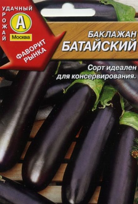 Baltic eggplant