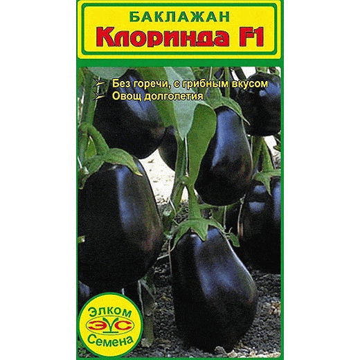 Clorinda eggplant